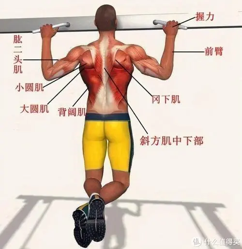 常熟青浦绿化和市容管理局